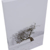 ‘Disrobed in Winter’ solid faced canvas wrap 12x18 front top side - StevenDTaylor.com