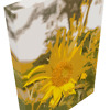 ‘Noble Joy’ solid faced canvas wrap 12x18 front top side - StevenDTaylor.com